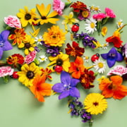 KI – Alter Kram im neuen Gewand Teil 2