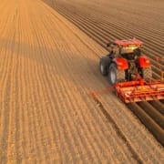 Mutter Erde heilt den Darm