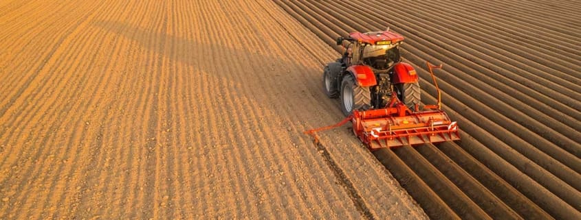 Mutter Erde heilt den Darm