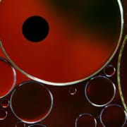 Die vierte Form des Wassers