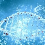 Aufladen von Zellwasser – So aktivieren Sie die natürliche Energie Ihrer Zellen