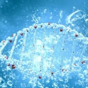 Aufladen von Zellwasser – So aktivieren Sie die natürliche Energie Ihrer Zellen