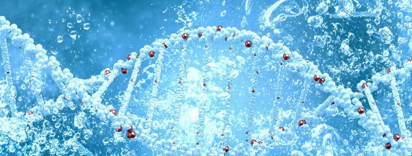 Aufladen von Zellwasser – So aktivieren Sie die natürliche Energie Ihrer Zellen