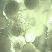 Wie das Mikrobiom entsteht und unsere Gesundheit beeinflusst