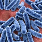 Schleimschicht im Darm – Unser Schutz