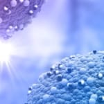 Cytochrom-P450-Enzyme und ihre Bedeutung