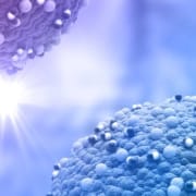 Cytochrom-P450-Enzyme und ihre Bedeutung