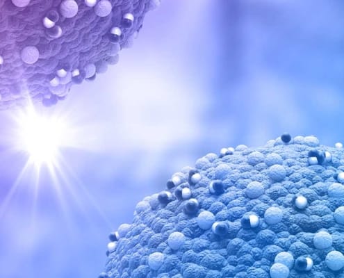 Cytochrom-P450-Enzyme und ihre Bedeutung