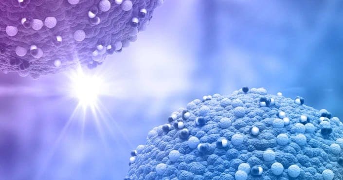 Cytochrom-P450-Enzyme und ihre Bedeutung