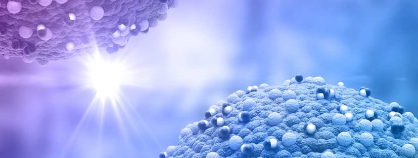 Cytochrom-P450-Enzyme und ihre Bedeutung
