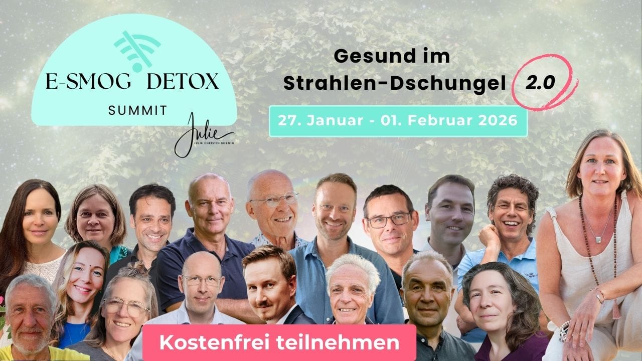 E-Smog Detox Summit mit Uwe Karstädt