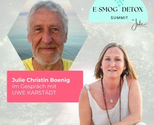 E-Smog Detox Summit mit Uwe Karstädt